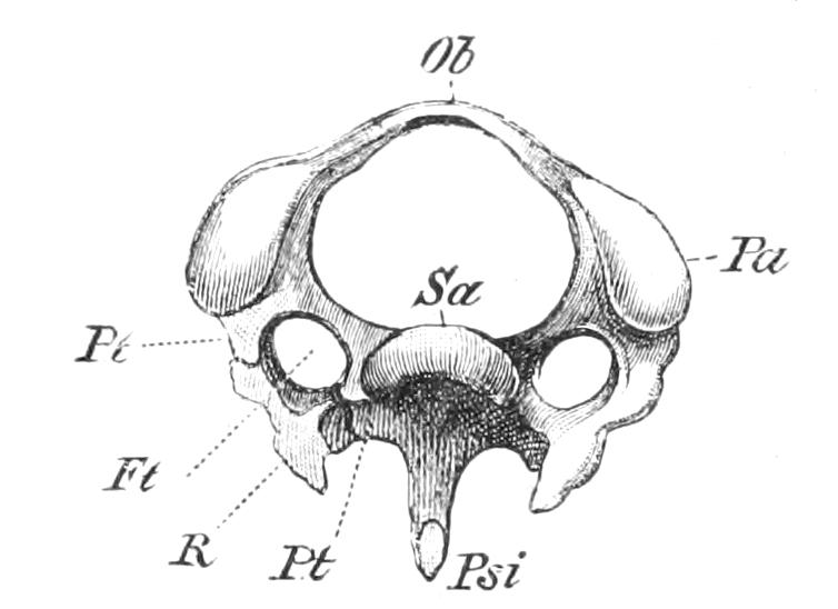 fig1 fig1