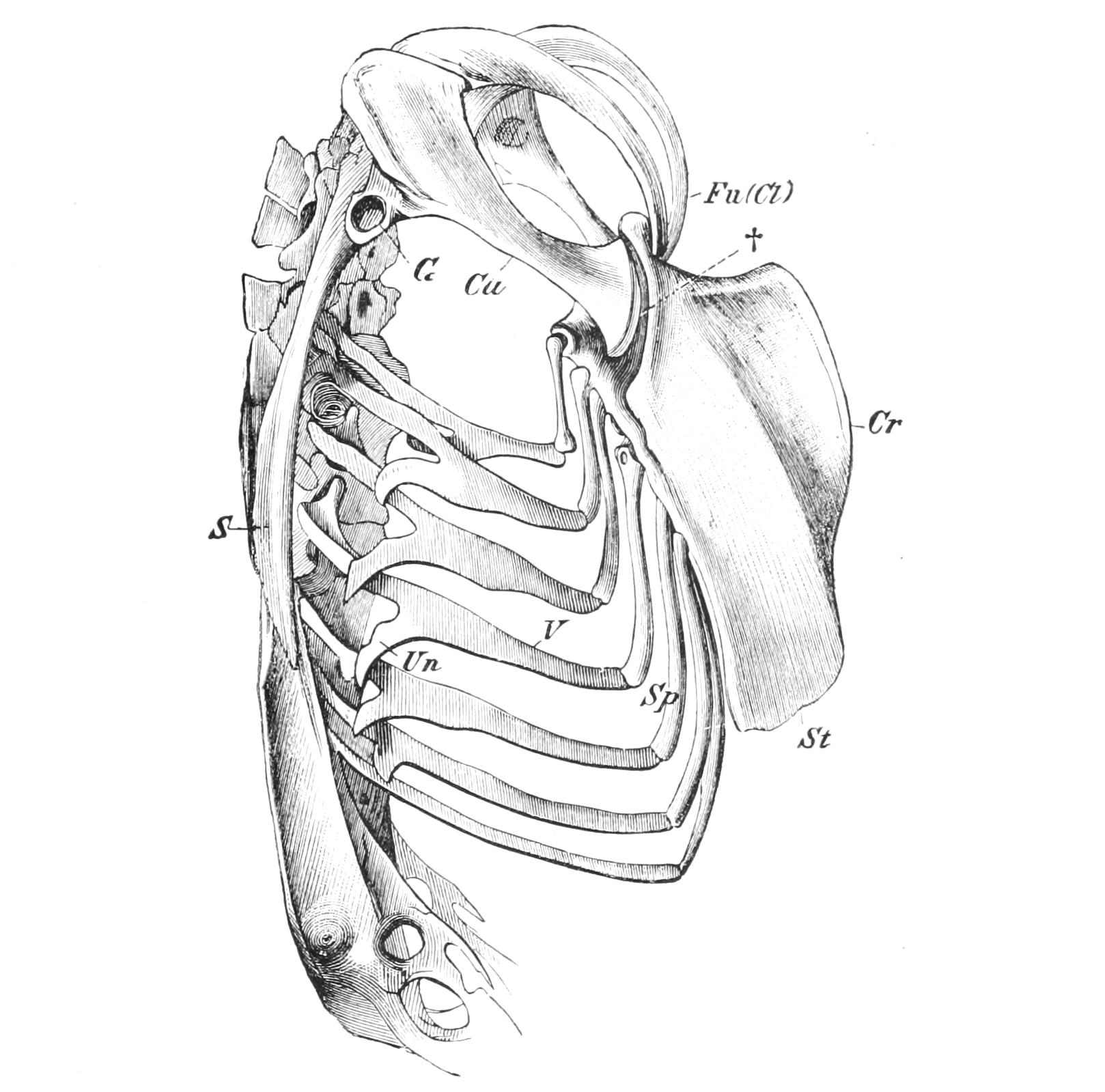 fig2 fig2