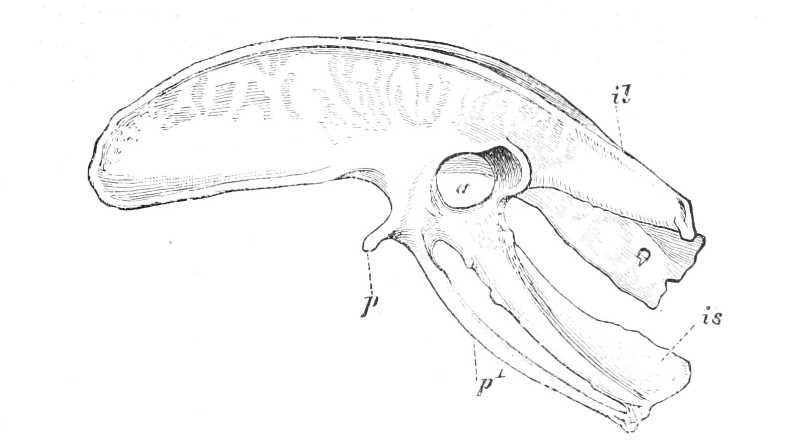 fig4 fig4