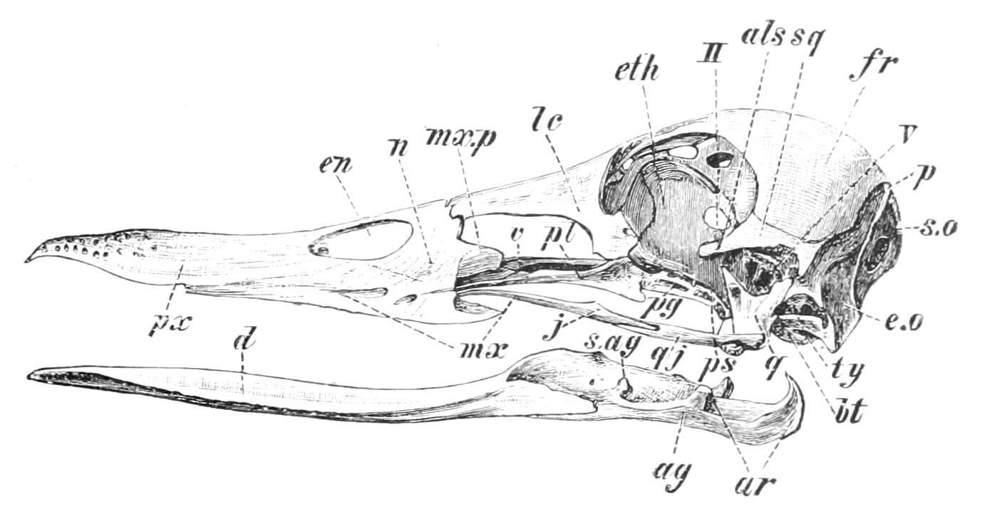 fig5 fig5