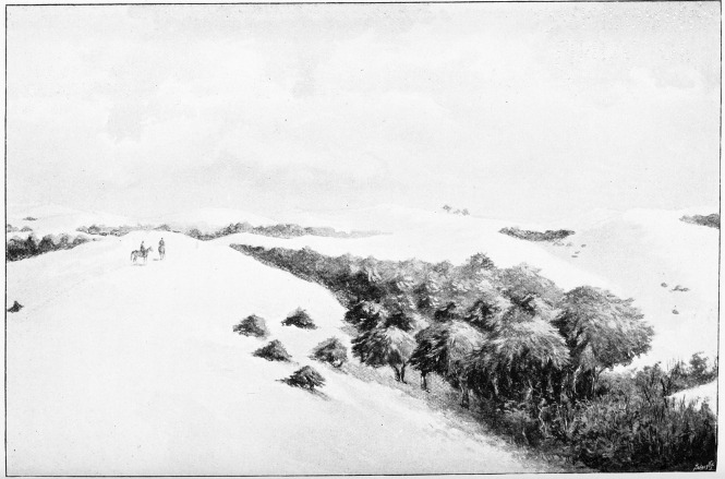 Plate XXXI.

SAND-DUNES AND CORRALES OF DOÃANA.

Page 245.