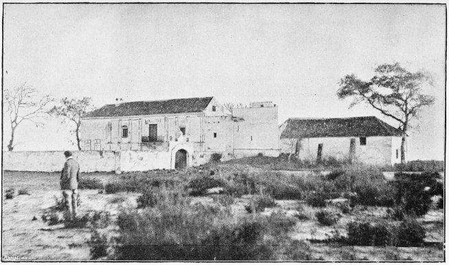 Plate XL.

PALACIO DE DOÃANA.

Page 350.