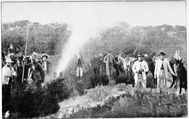 Plate XLI.

BREAKFAST-TIME—DOÃANA.

Page 352.