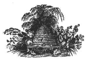 Forgot the moral of his fable Illustration 097