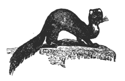 Cease to eat until yu can as you got in get out Illustration 119