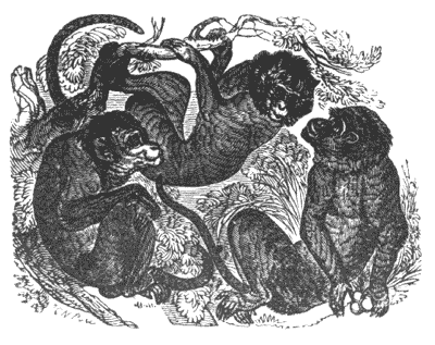 While those who hardships have endured to suffer life are best inurred Illustration 150