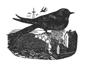 Learn hence the danger to foresee Illustration 163