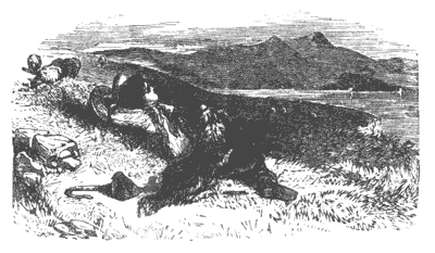 Those who are known to have deceived when they speak the truth are not believed Illustration 176