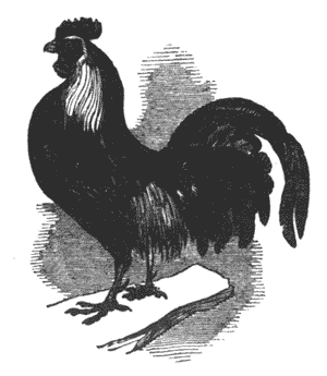 Those dogs the treaty may not know Illustration 186