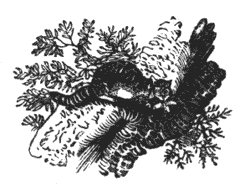 Got to the shore in piteous plight Illustration 192