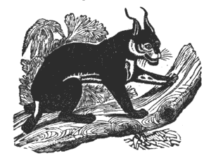 While I will range the forest round Illustration 226