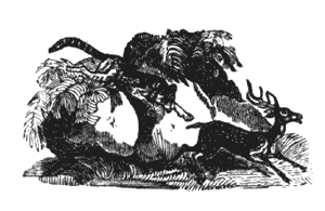 And from a trifling cause may die Illustration 254