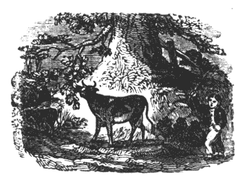 For man ordains much better than we can Illustration 259