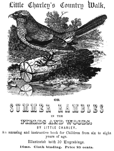 Little Charley's Country Walk Illustration 302