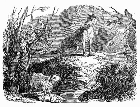 THE WOLF AND THE LAMB. THE WOLF AND THE LAMB.