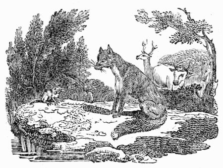 THE FROG AND THE FOX. THE FROG AND THE FOX.