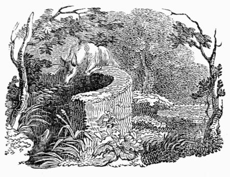 THE FOX IN THE WELL. THE FOX IN THE WELL.