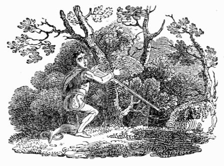 THE FOWLER AND THE RING-DOVE. THE FOWLER AND THE RING-DOVE.