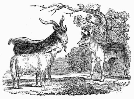 THE WOLF, THE LAMB, AND THE GOAT. THE WOLF, THE LAMB, AND THE GOAT.