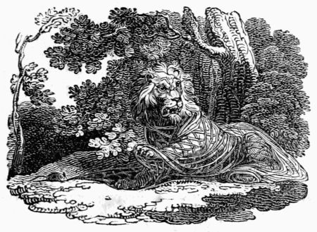 THE LION AND THE MOUSE. THE LION AND THE MOUSE.
