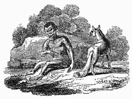 THE APE AND THE FOX. THE APE AND THE FOX.