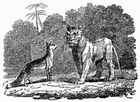 THE LIONESS AND THE FOX. THE LIONESS AND THE FOX.
