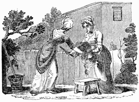 THE OLD WOMAN AND HER MAIDS. THE OLD WOMAN AND HER MAIDS.