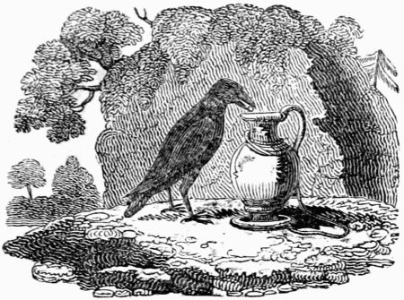 THE CROW AND THE PITCHER. THE CROW AND THE PITCHER.