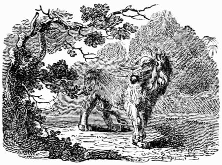 THE ASS, THE LION, AND THE COCK. THE ASS, THE LION, AND THE COCK.