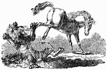 THE HORSE AND THE LION. THE HORSE AND THE LION.