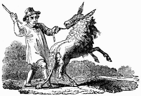 THE ASS IN THE LION'S SKIN. THE ASS IN THE LION'S SKIN.