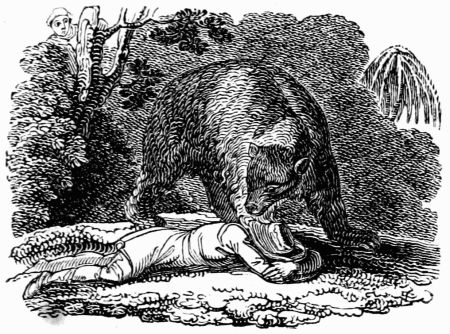 THE TRAVELLERS AND THE BEAR. THE TRAVELLERS AND THE BEAR.
