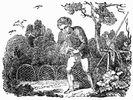THE FALCONER AND THE PARTRIDGE. THE FALCONER AND THE PARTRIDGE.