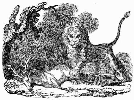 THE LION, THE ASS, AND THE FOX. THE LION, THE ASS, AND THE FOX.