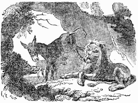 THE OLD LION. THE OLD LION.