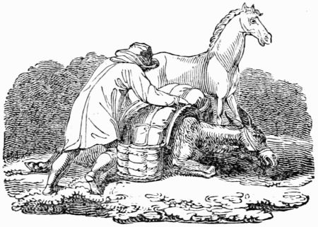 THE HORSE AND THE LOADED ASS. THE HORSE AND THE LOADED ASS.