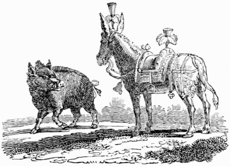 THE BOAR AND THE ASS. THE BOAR AND THE ASS.