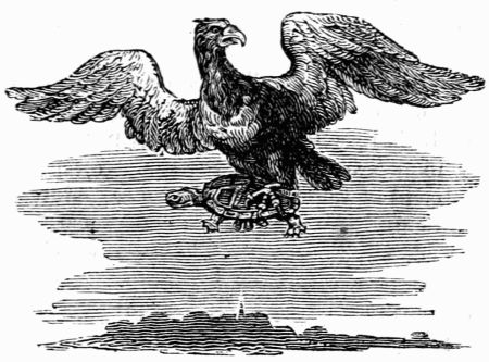 THE TORTOISE AND THE EAGLE. THE TORTOISE AND THE EAGLE.