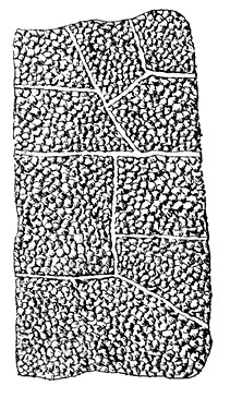 Ground plan of Mayinit salt house.