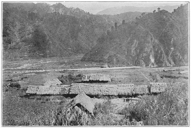 Rice granaries