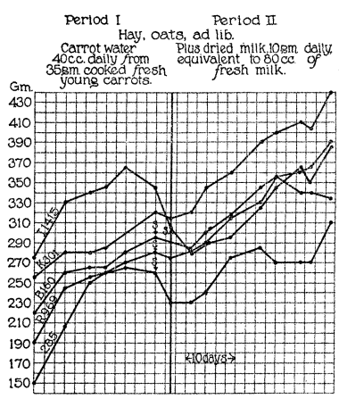 Dried milk as an antiscorbutic 