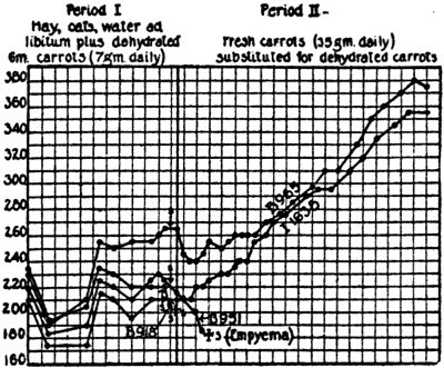 Dehydrated vegetables as a cause of scurvy 