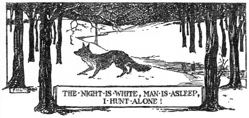 The Night is White, Man
is asleep, I hunt alone!