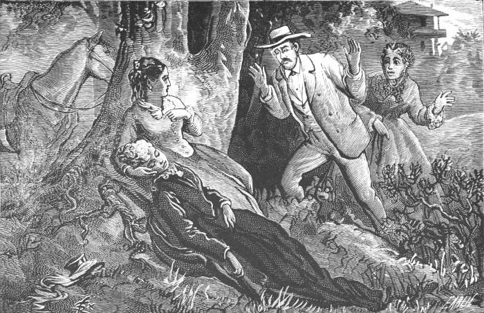 She soon discovered Mrs. Potter lying by the road-side,
groaning and in great pain. Page 64.