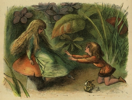 [Image unavailable.]