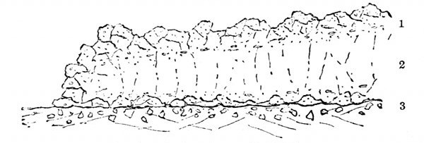 Fig. 40.

Section of a lava-flow. (J. Geikie.)

1, Slaggy crust, formed chiefly of scoriÃ¦ of a glassy nature. 2, Middle
portion where crystals form. 3, Slaggy crust which has slipped down and
been covered by the flow.