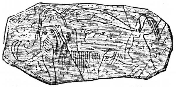 Fig. 79.

Mammoth engraved on ivory by PalÃ¦olithic man.