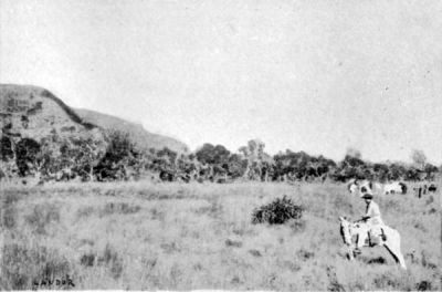 Campos and Chapada of Matto Grosso.