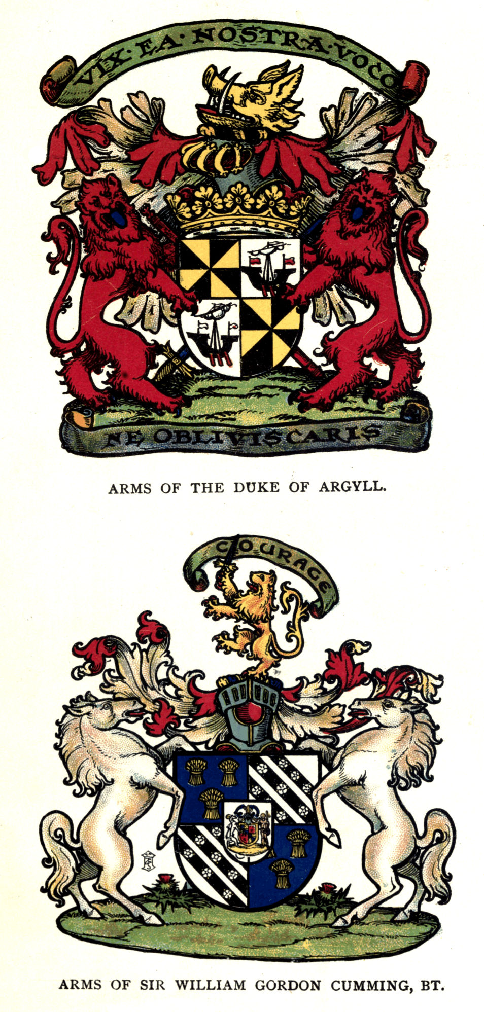 Plate III. Plate III.