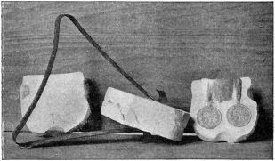 Photo: Cassell & Co., Ltd.

COINERS’ MOULD IN THE BLACK MUSEUM, ONE IN SEPARATE PARTS, THE OTHER
CLOSED AND HELD IN POSITION BY A SPRING.